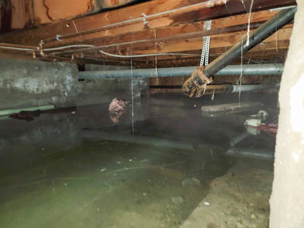 Best Basement water damage restoration  in Lowell, MA