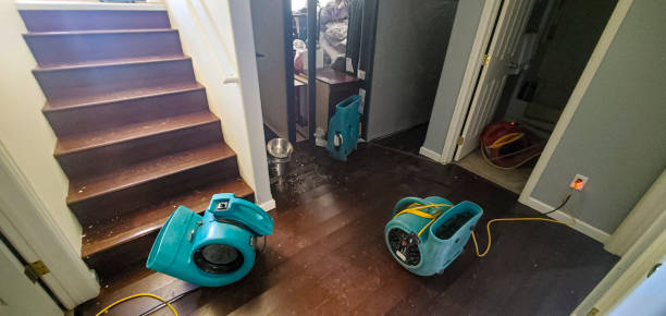 Best Emergency water extraction  in Lowell, MA