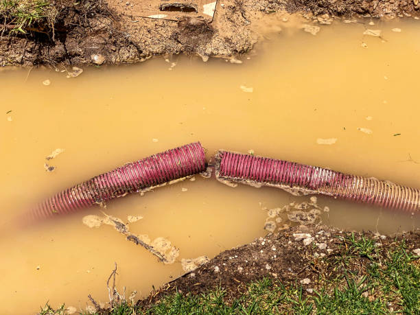 Carpet water damage restoration in MA